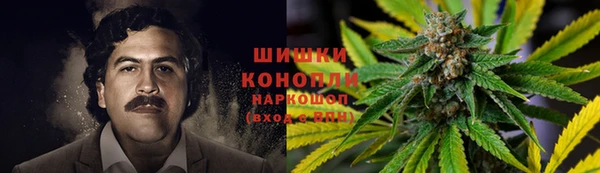 mdpv Арсеньев