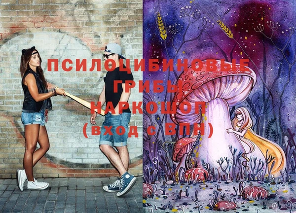 mdpv Арсеньев