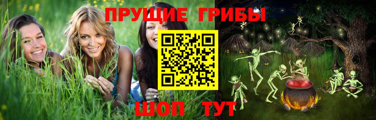 Псилоцибиновые грибы GOLDEN TEACHER Чистополь